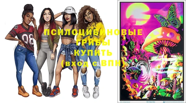 mdpv Горняк