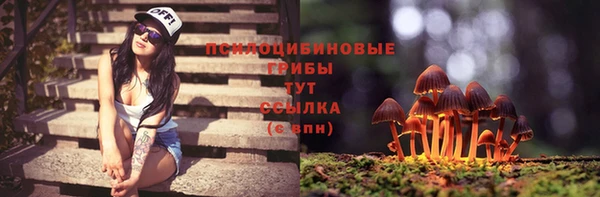 mdpv Горняк