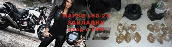 PSILOCYBIN Горнозаводск
