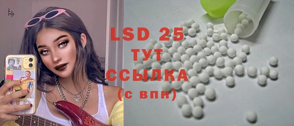 PSILOCYBIN Горнозаводск
