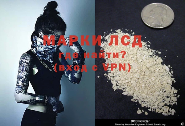PSILOCYBIN Горнозаводск