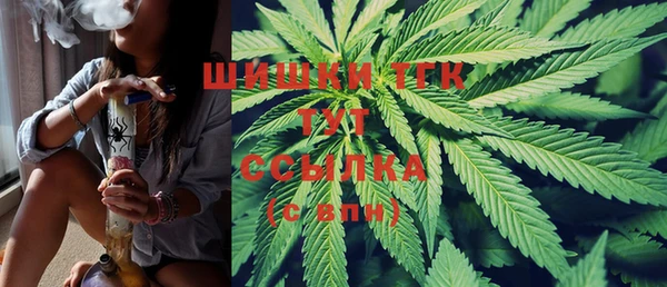 PSILOCYBIN Горнозаводск