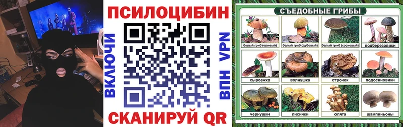 Псилоцибиновые грибы Psilocybine cubensis  закладка  Невель 